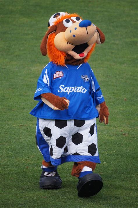 Exploring the symbolism and meaning behind mascots in junior soccer